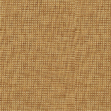 9100010 Design 11 Piece Unique Wallpaper by Coordonné