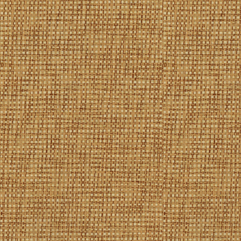 9100010 Design 11 Piece Unique Wallpaper by Coordonné