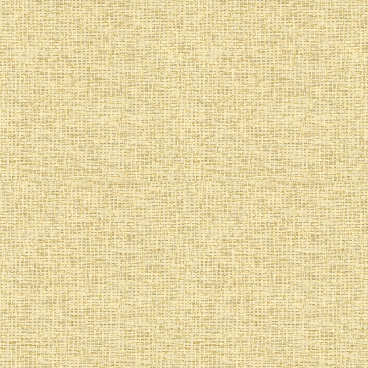 9100017 Design 17 Piece Unique Wallpaper by Coordonné