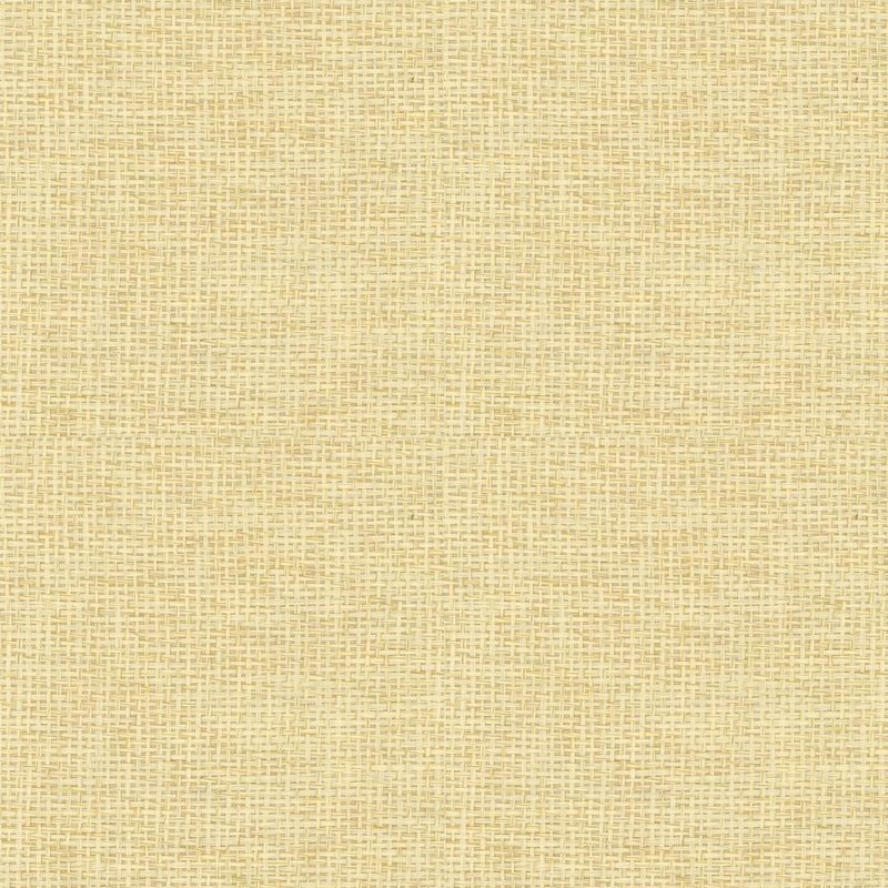 9100017 Design 17 Piece Unique Wallpaper by Coordonné