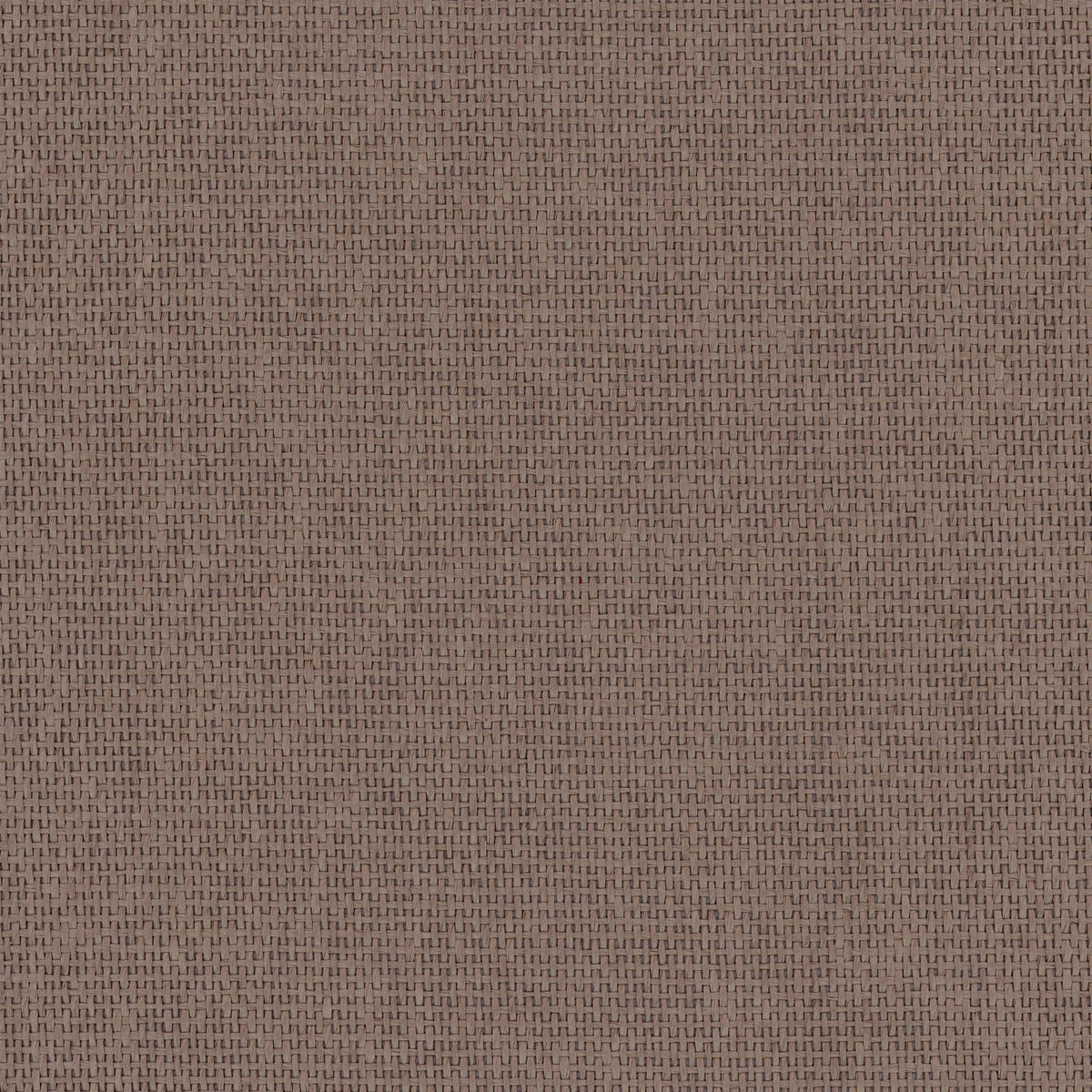 9100024 Design 26 Piece Unique Wallpaper by Coordonné