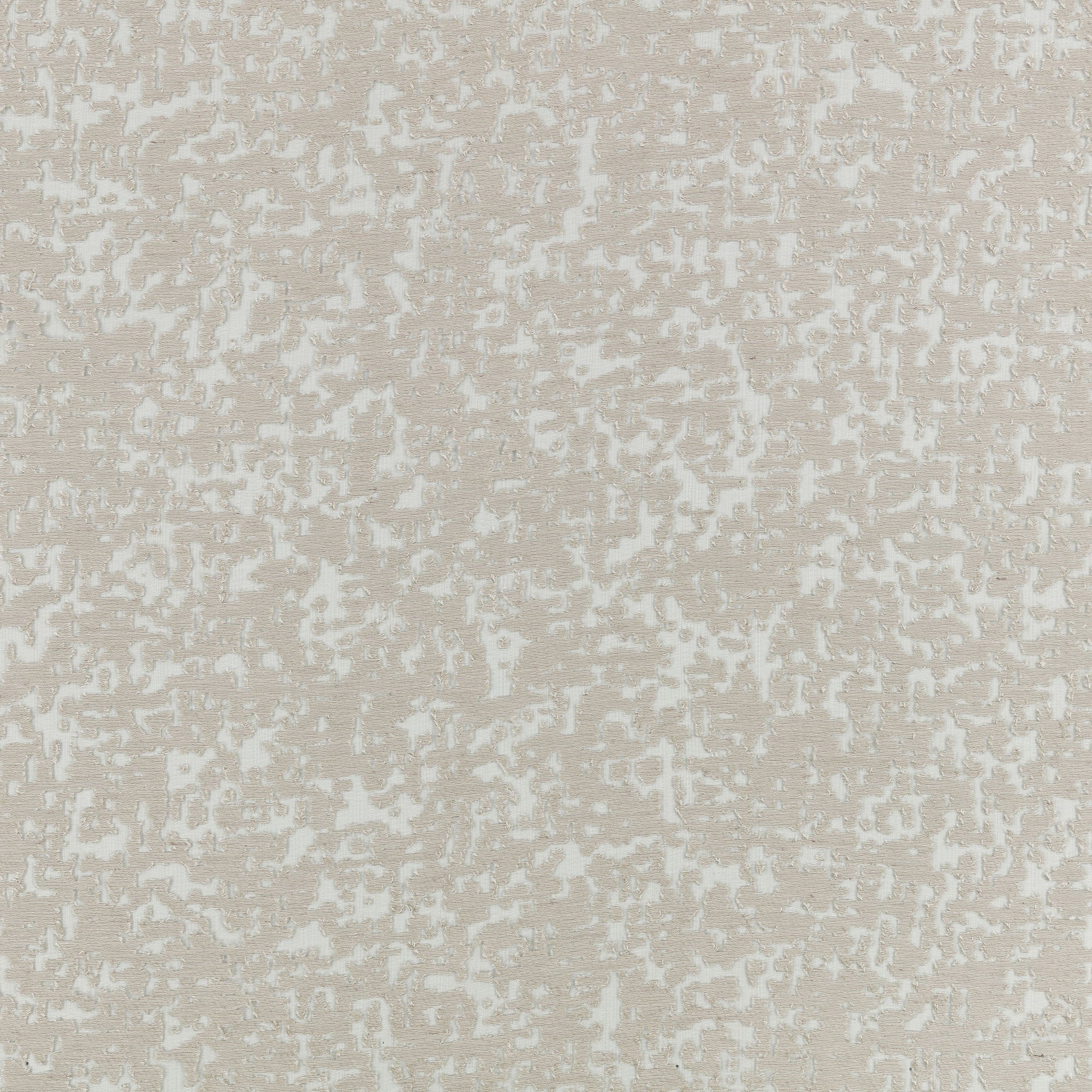 9148/02 Isoku Tusk Isoku Fabric by Black Edition
