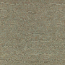 9151/04 Hikari Jadeite Isoku Fabric by Black Edition