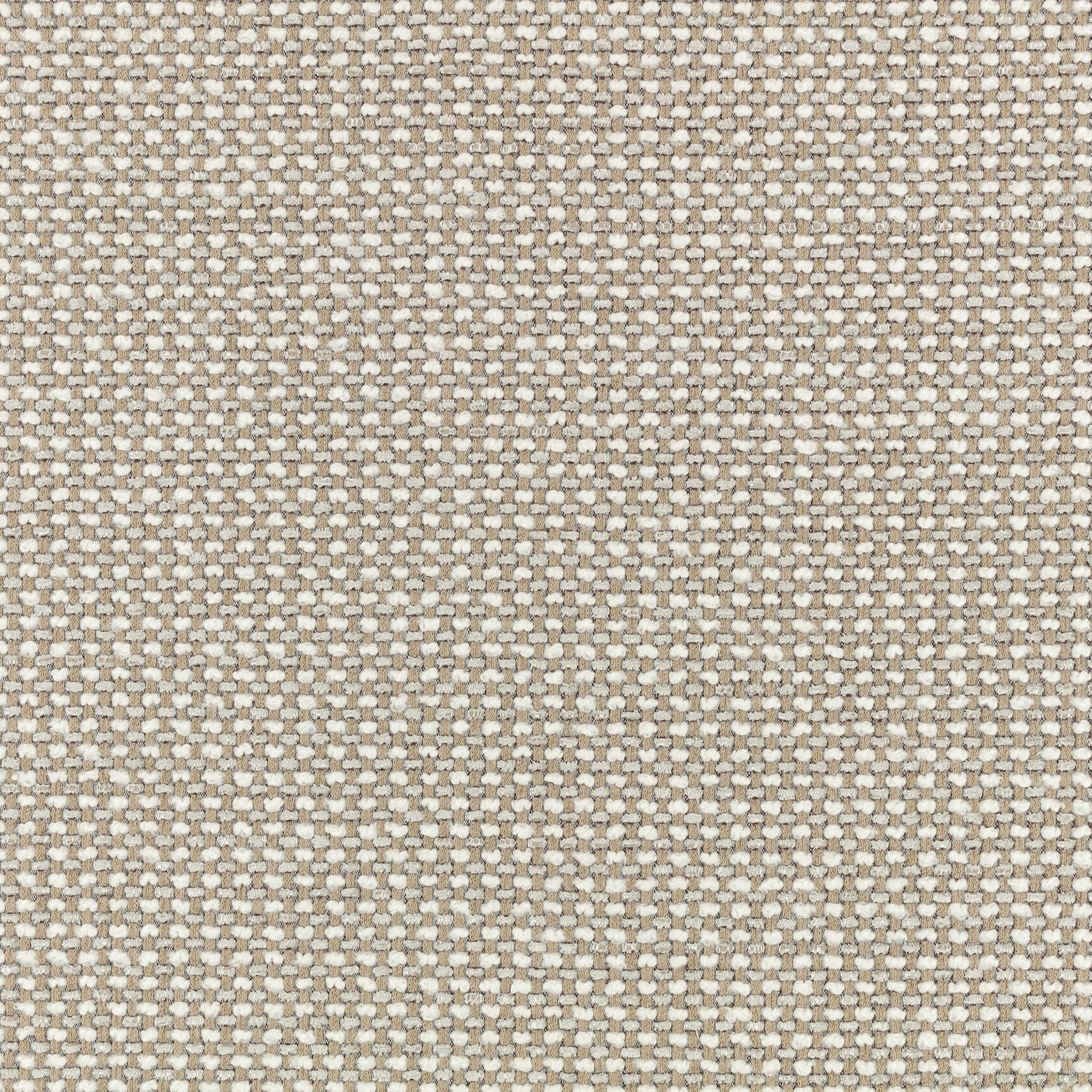 9155/01 Etitto Pampas Arkose Fabric by Black Edition