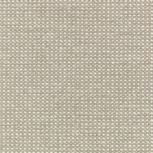 9155/01 Etitto Pampas Arkose Fabric by Black Edition