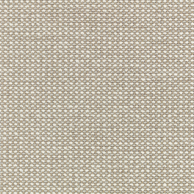 9155/01 Etitto Pampas Arkose Fabric by Black Edition