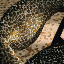 9172/01 Teba Anise Istoria Weaves Fabric by Black Edition