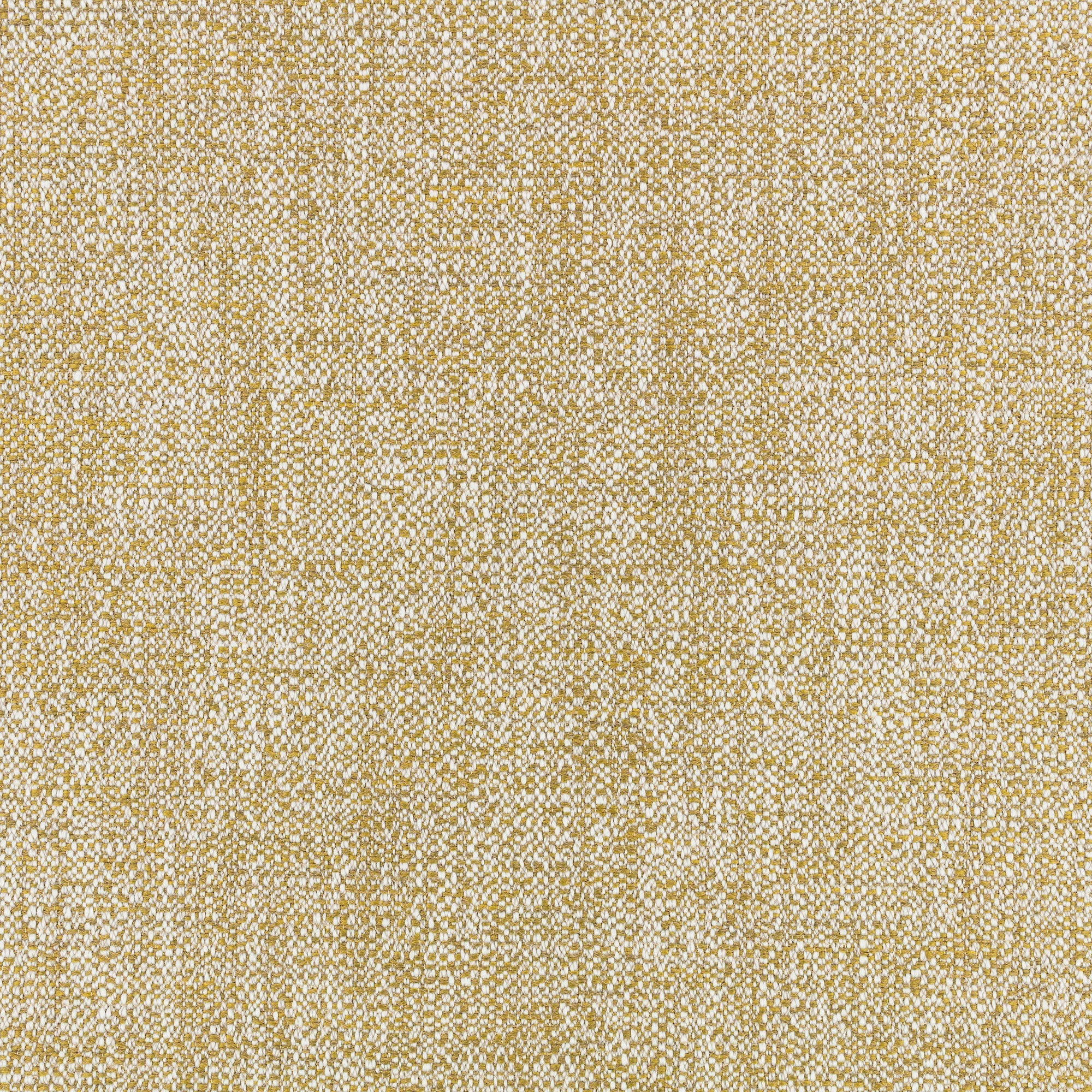 9182/03 Este Yuzu Xandri Outdoor Fabric by Black Edition