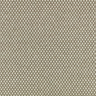 9185/02 Marca Stucco Xandri Outdoor Fabric by Black Edition
