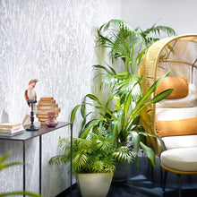 91935 Fan Palm Energy Wallpaper By Galerie