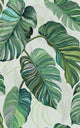 Carioca Green Wander Wallpaper by Coordonné
