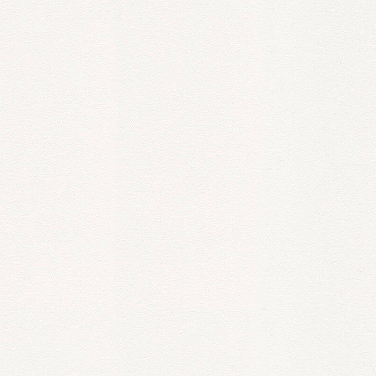 93578-1 Styleguide Colours 2024 Wallpaper by A S Creation