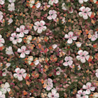 Floral Tapestry Lilac Naturae Wallpaper by Coordonné