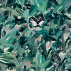 Hidden Puma Winter Naturae Wallpaper by Coordonné