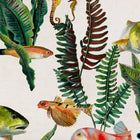 Bank of Fish Swan Naturae Wallpaper by Coordonné