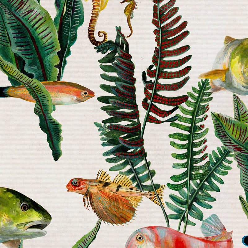 Bank of Fish Swan Naturae Wallpaper by Coordonné