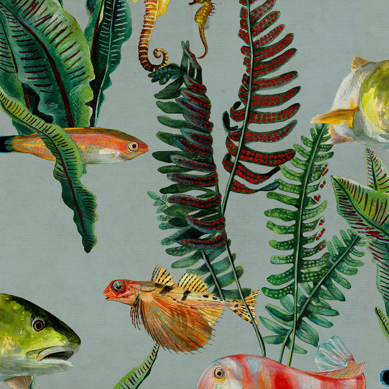 Bank of Fish Cyan Naturae Wallpaper by Coordonné