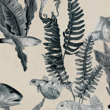 Bank of Fish Grey Naturae Wallpaper by Coordonné