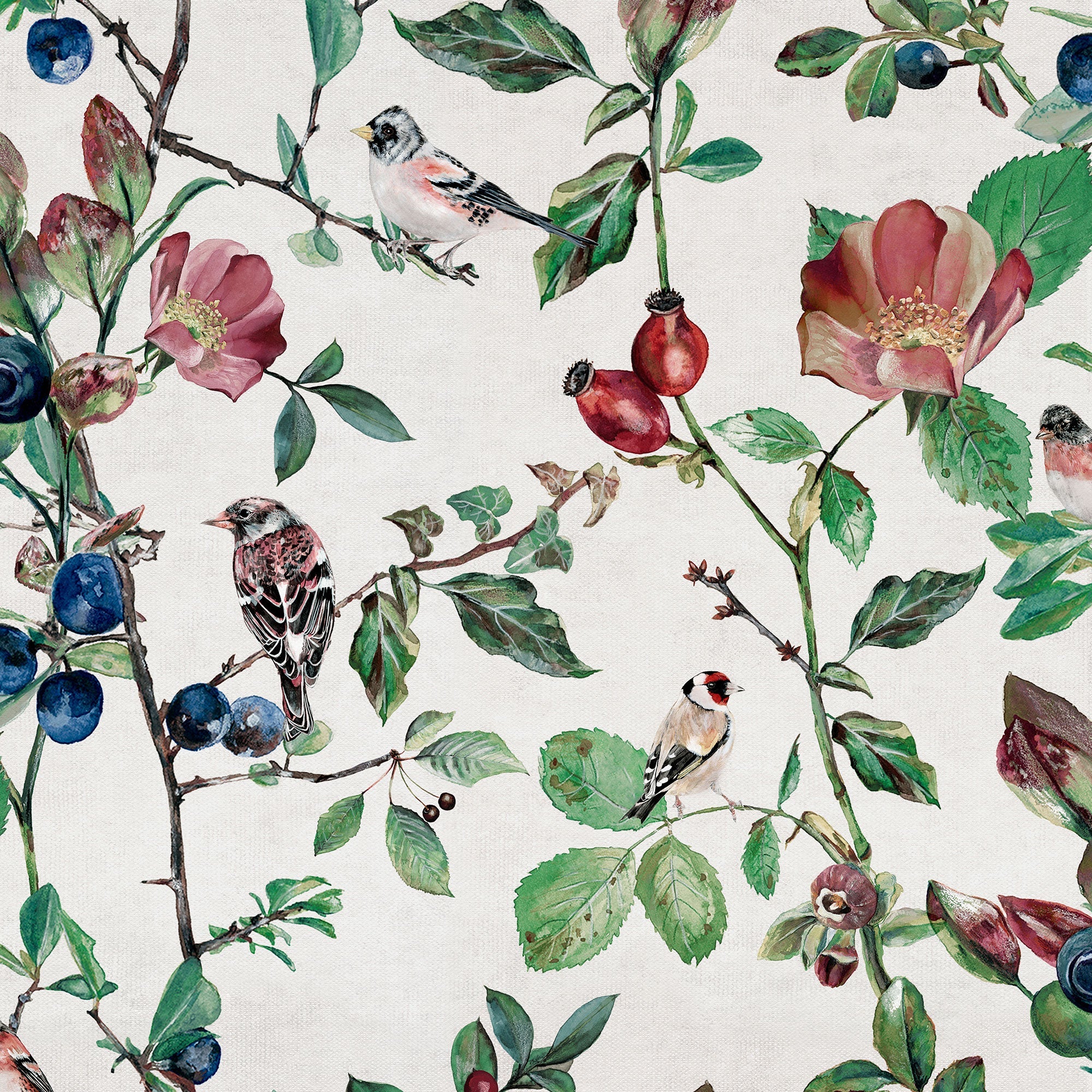 Goldfinch Song Cotton Naturae Wallpaper by Coordonné