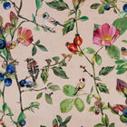 Goldfinch Song Blush Naturae Wallpaper by Coordonné