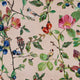 Goldfinch Song Blush Naturae Wallpaper by Coordonné