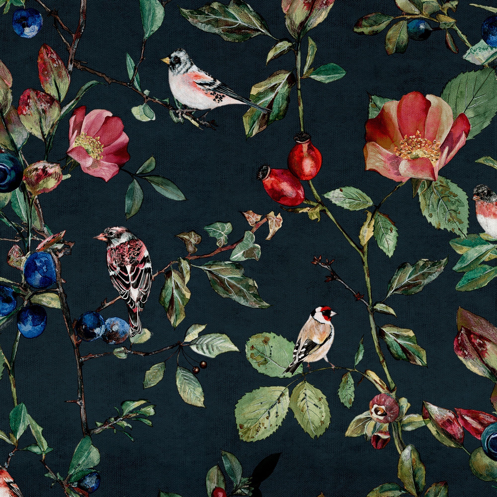 Goldfinch Song Night Naturae Wallpaper by Coordonné