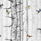 Birch Trees Grey Naturae Wallpaper by Coordonné