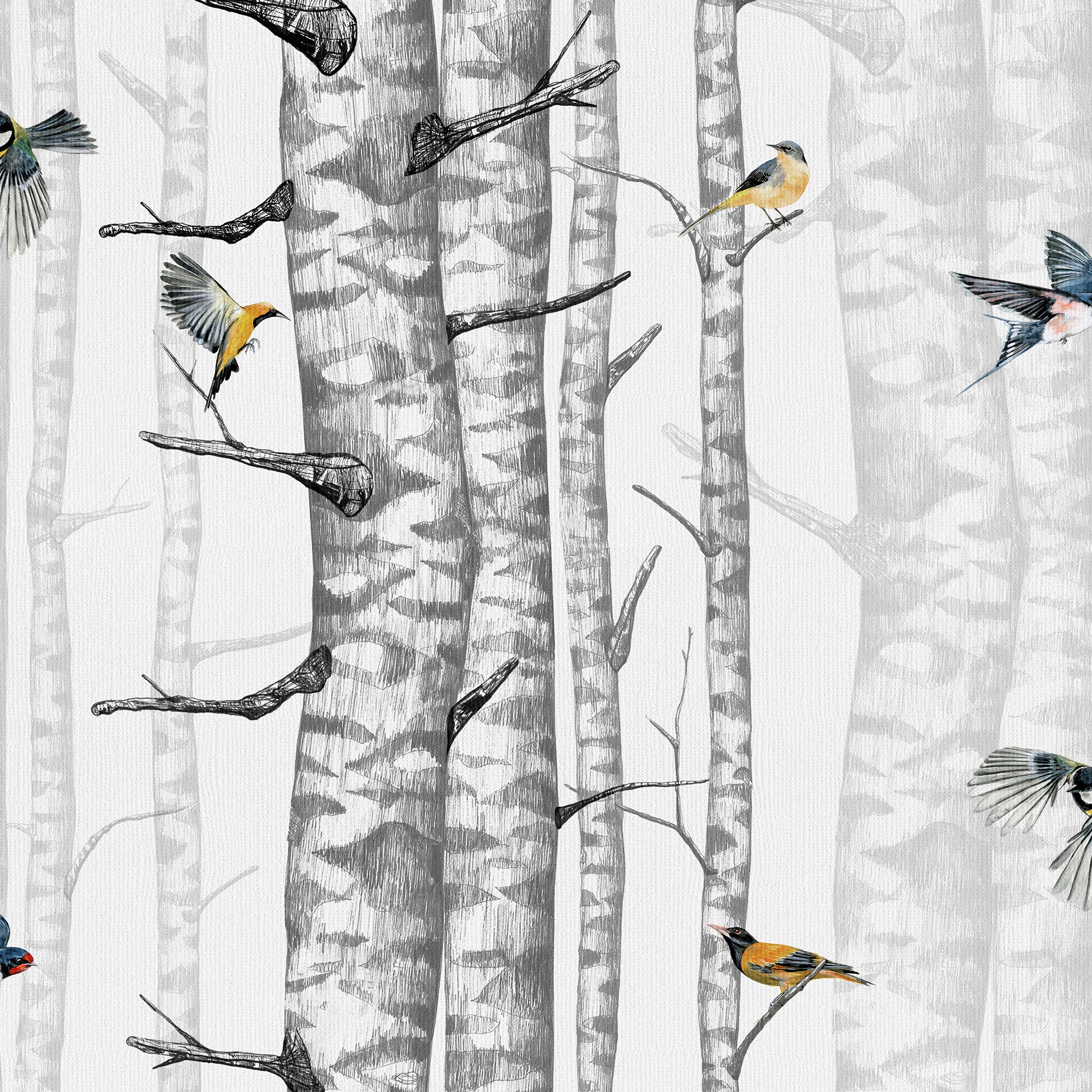 Birch Trees Grey Naturae Wallpaper by Coordonné