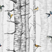Birch Trees Grey Naturae Wallpaper by Coordonné