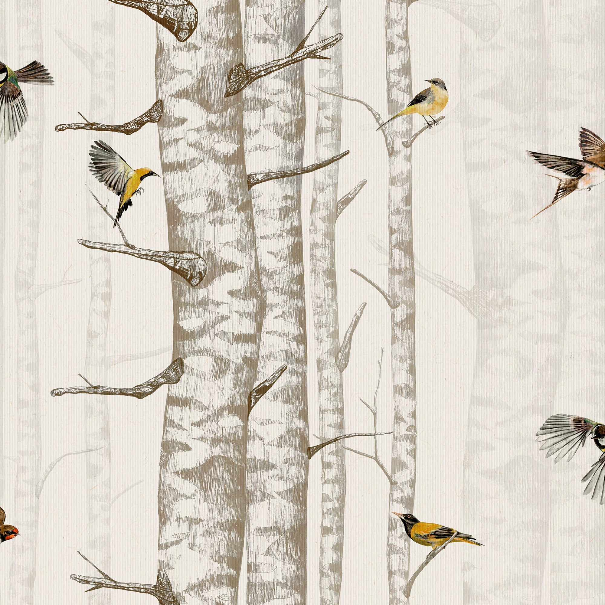 Birch Trees Beige Naturae Wallpaper by Coordonné