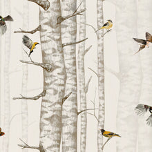 Birch Trees Beige Naturae Wallpaper by Coordonné