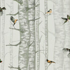 Birch Trees Silvester Naturae Wallpaper by Coordonné