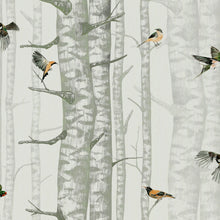 Birch Trees Silvester Naturae Wallpaper by Coordonné