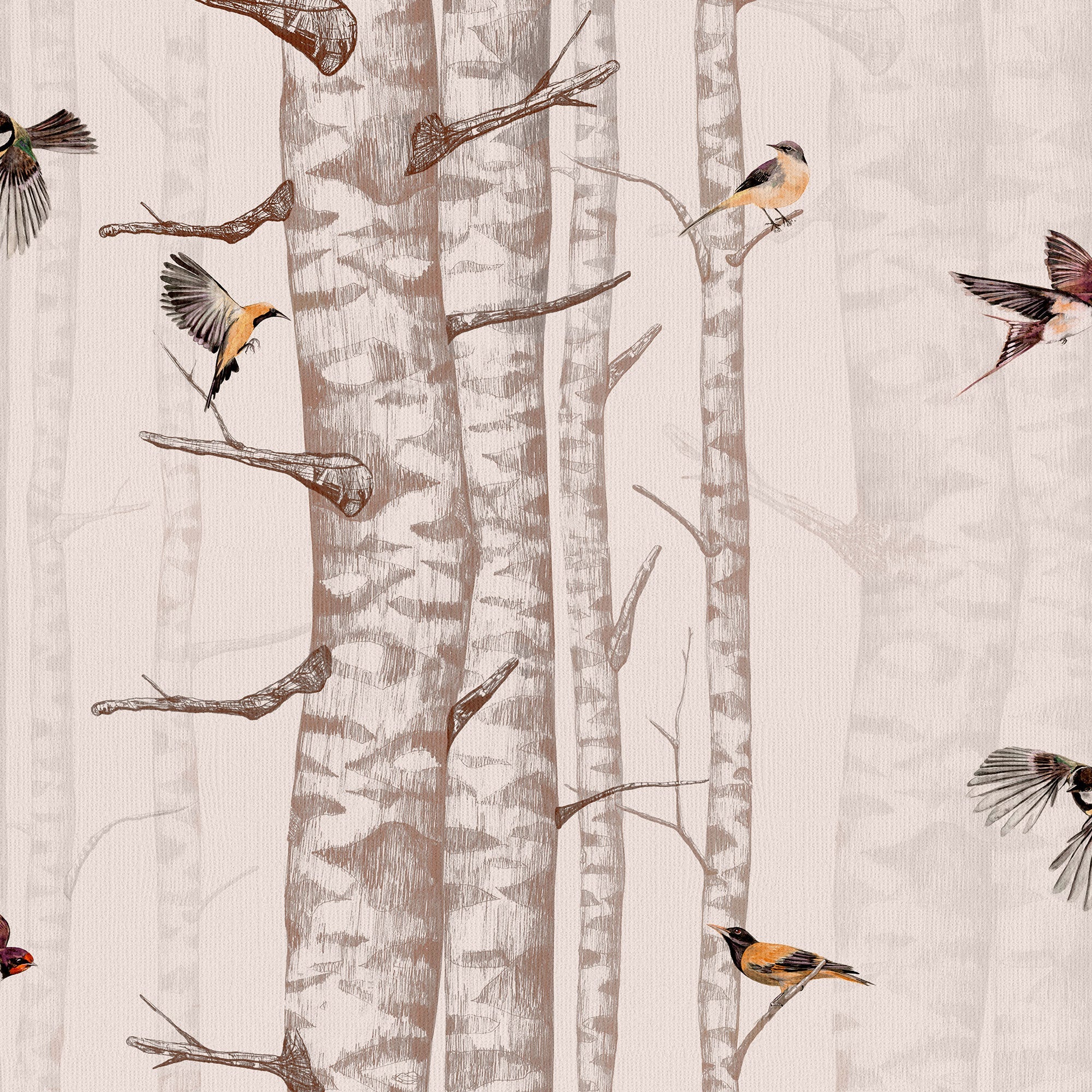 Birch Trees Pink Naturae Wallpaper by Coordonné
