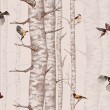 Birch Trees Pink Naturae Wallpaper by Coordonné