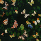 Magic butterflies Night Naturae Wallpaper by Coordonné