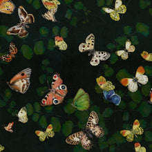 Magic butterflies Night Naturae Wallpaper by Coordonné