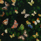 Magic butterflies Night Naturae Wallpaper by Coordonné