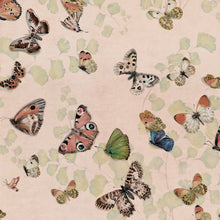 Magic butterflies Sweet Naturae Wallpaper by Coordonné