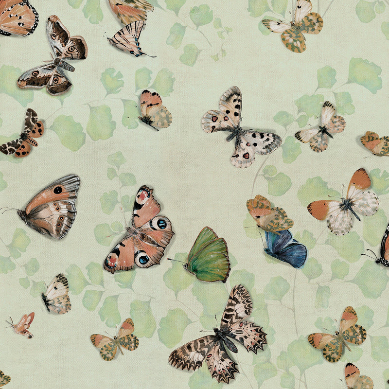 Magic butterflies Maca Naturae Wallpaper by Coordonné
