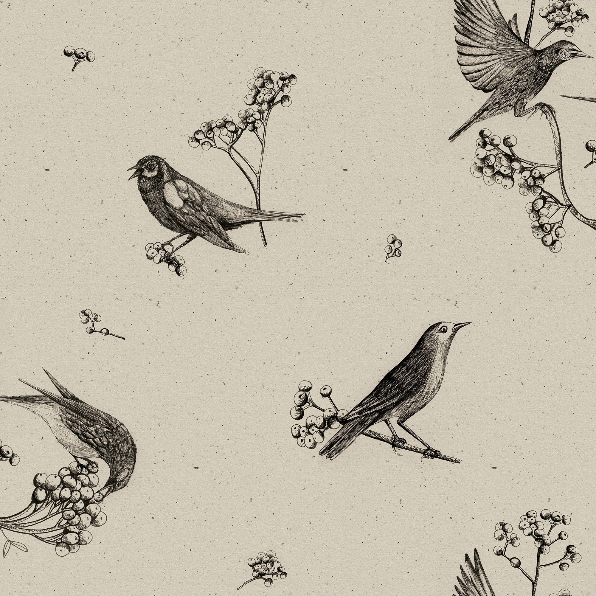 Sweet Birds Black Naturae Wallpaper by Coordonné