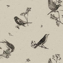 Sweet Birds Black Naturae Wallpaper by Coordonné