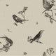 Sweet Birds Black Naturae Wallpaper by Coordonné