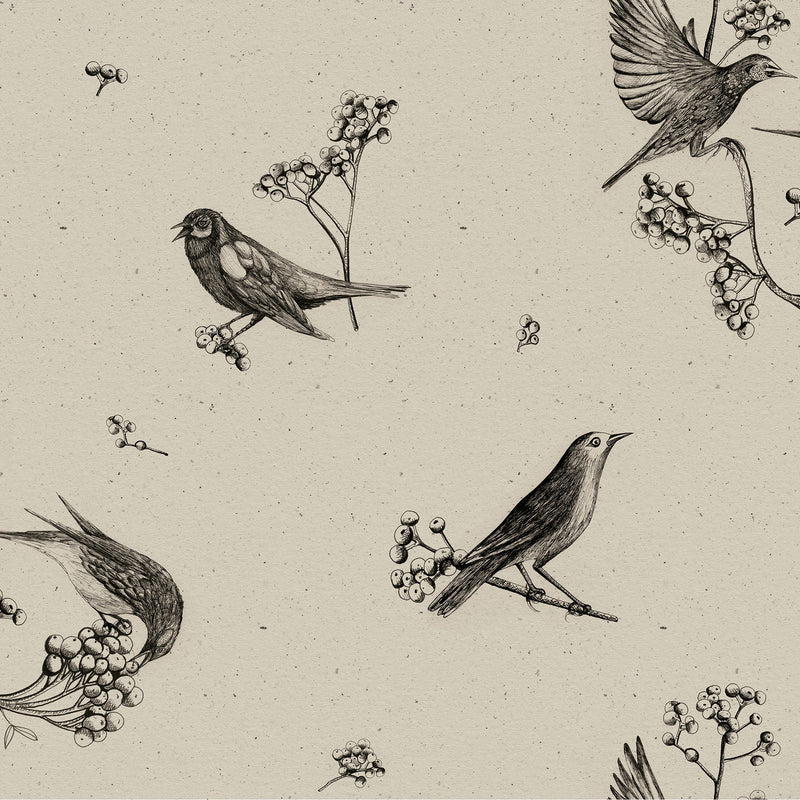 Sweet Birds Black Naturae Wallpaper by Coordonné