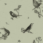 Sweet Birds Matcha Naturae Wallpaper by Coordonné