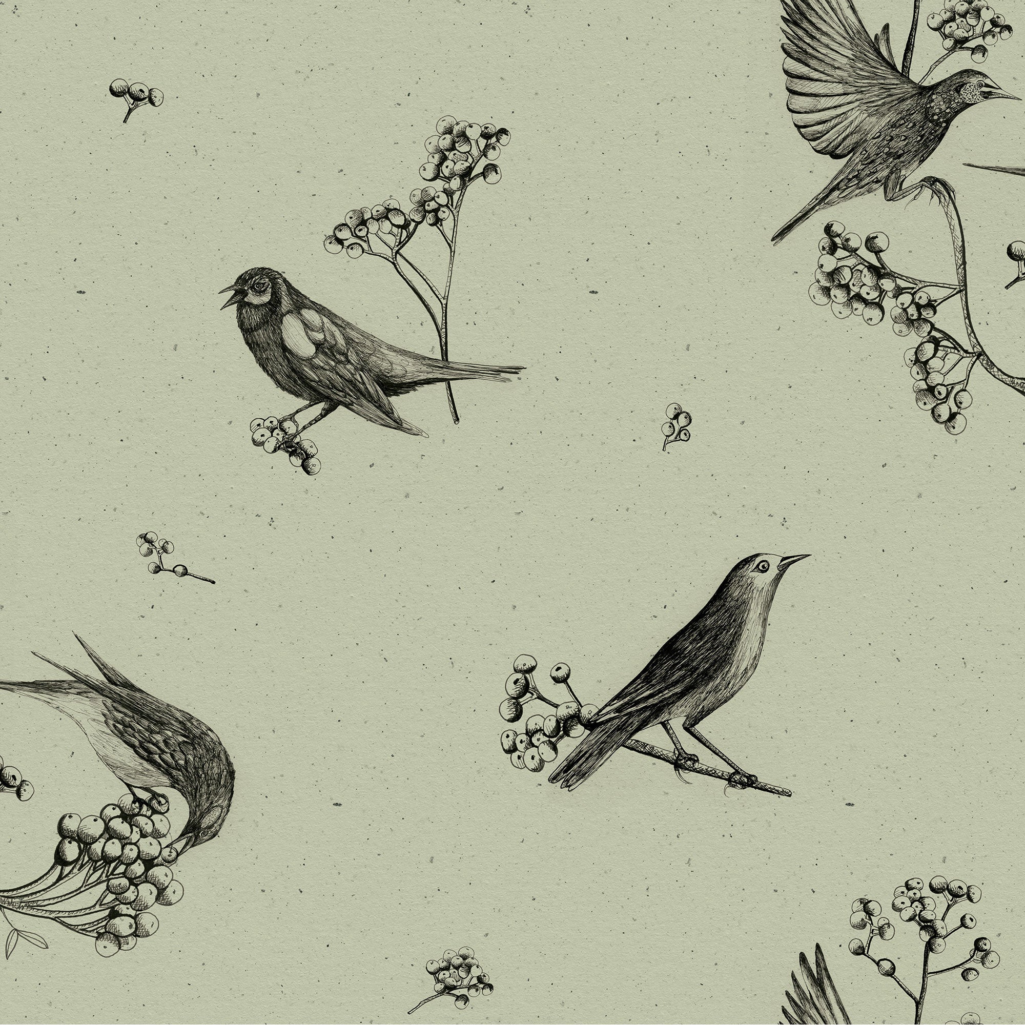 Sweet Birds Matcha Naturae Wallpaper by Coordonné