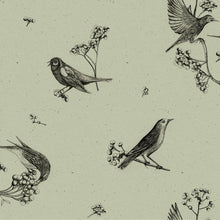Sweet Birds Matcha Naturae Wallpaper by Coordonné