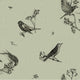 Sweet Birds Matcha Naturae Wallpaper by Coordonné