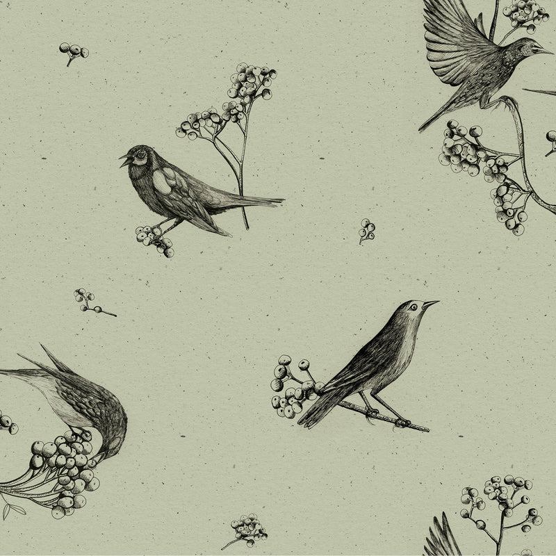 Sweet Birds Matcha Naturae Wallpaper by Coordonné