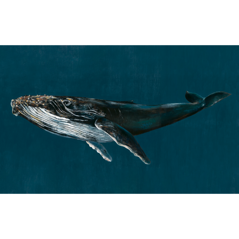 Humpback Whale Ocean Naturae Mural by Coordonné (450x280cm)